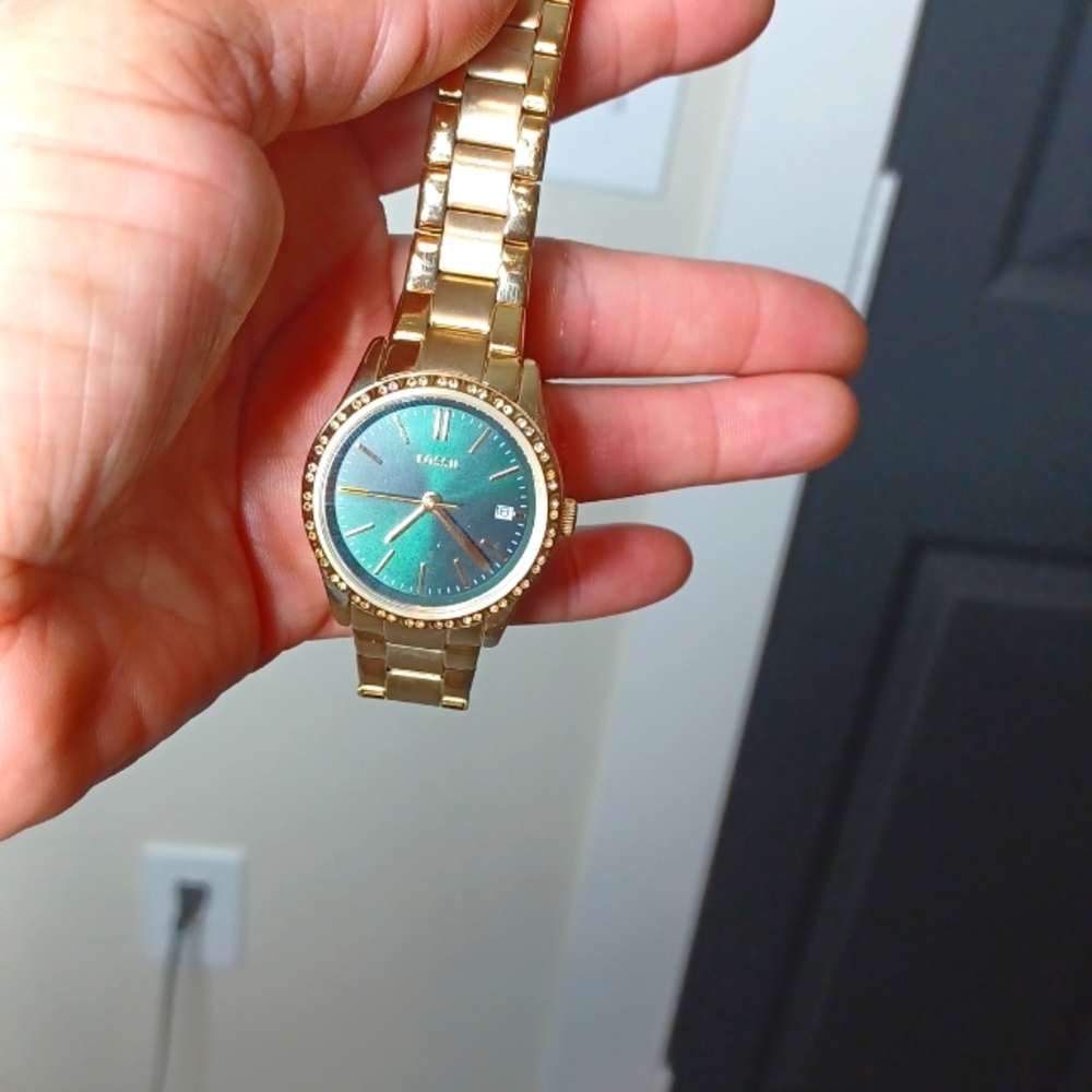 Fossil watch
